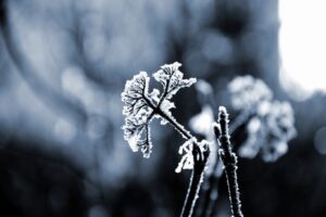natural pain relief